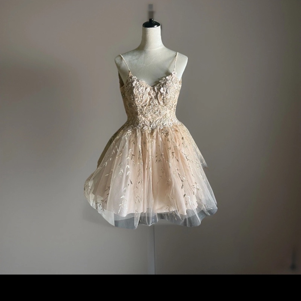 DANCING QUEEN Gold Beige Floral Glitter Tinker Bell Fairy Princess Tulle Dress - Picture 1 of 7